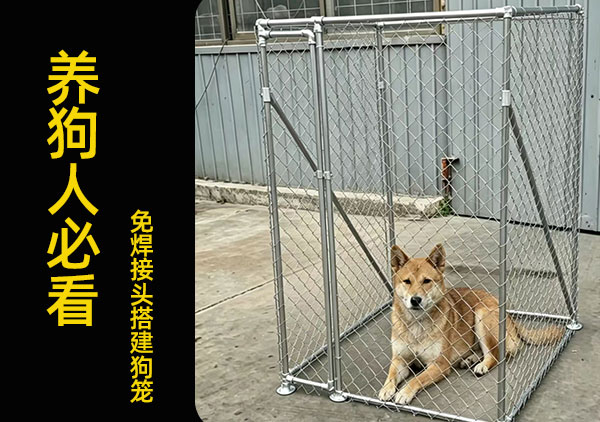 免焊接头搭建狗笼.jpg